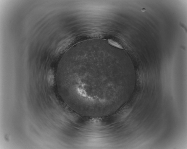 X0000100420080200806131108
