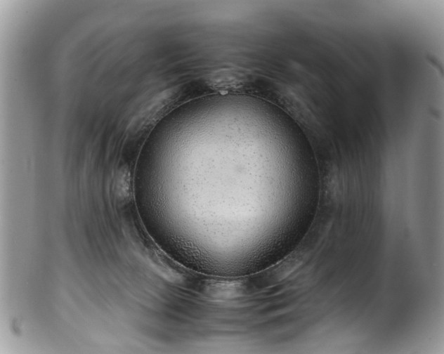 X0000100420081200806131108