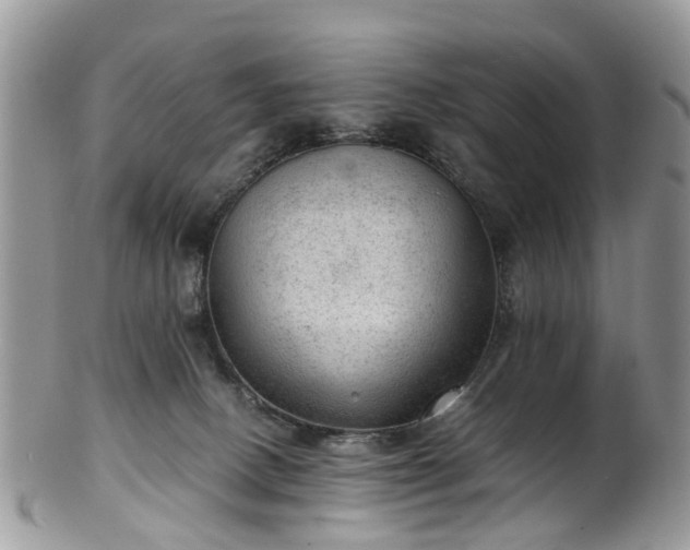 X0000100420082200806131108