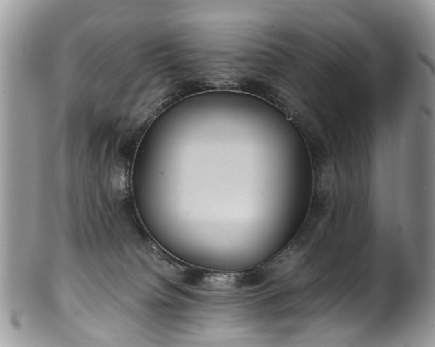 X0000100420084200806131108