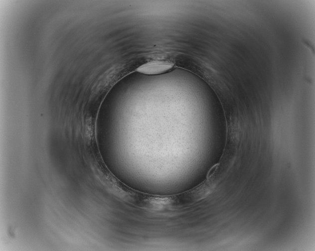 X0000100420085200806131108
