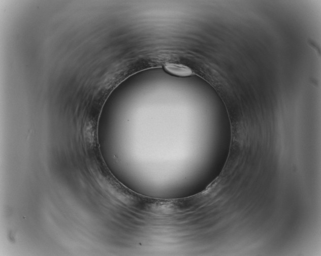 X0000100420086200806131108