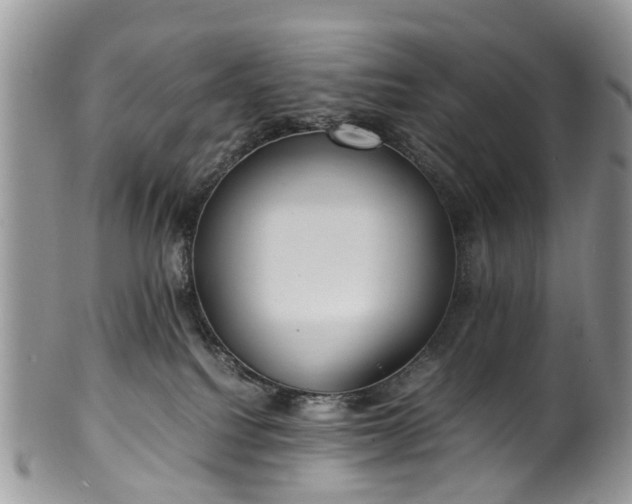 X0000100420088200806131108