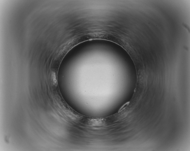 X0000100420089200806131108