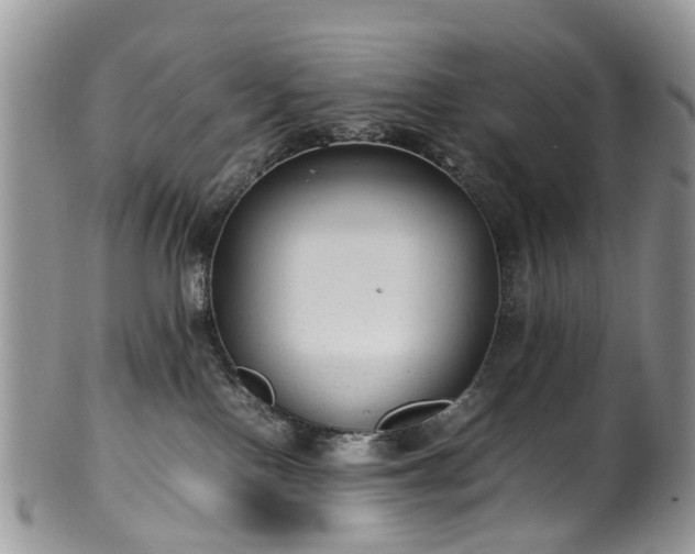 X0000100420090200806131108