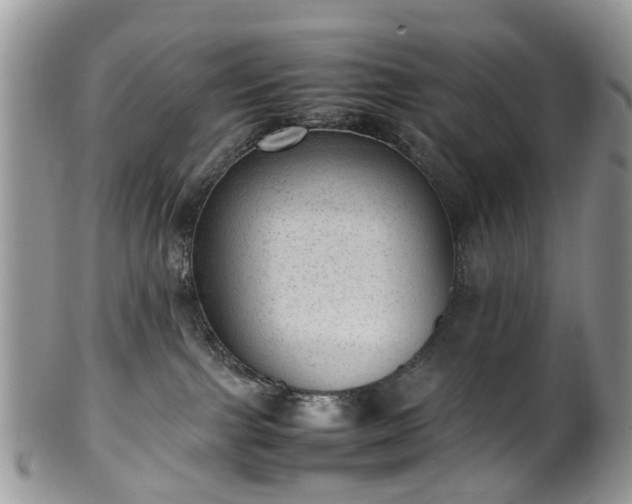 X0000100420091200806131108