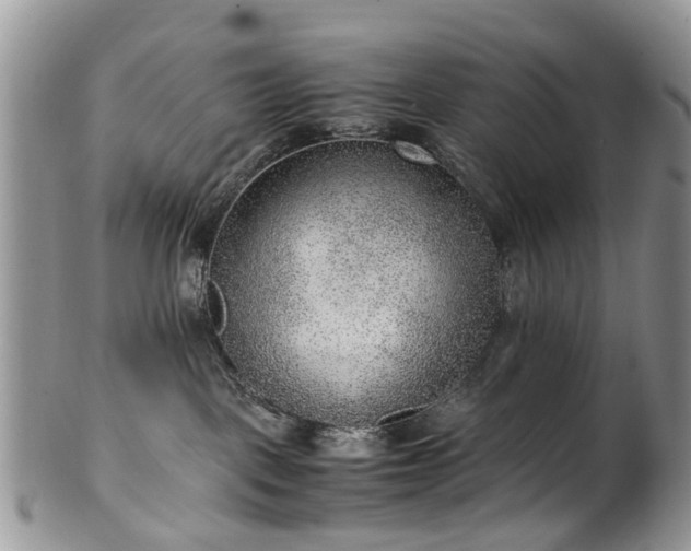 X0000100420093200806131108