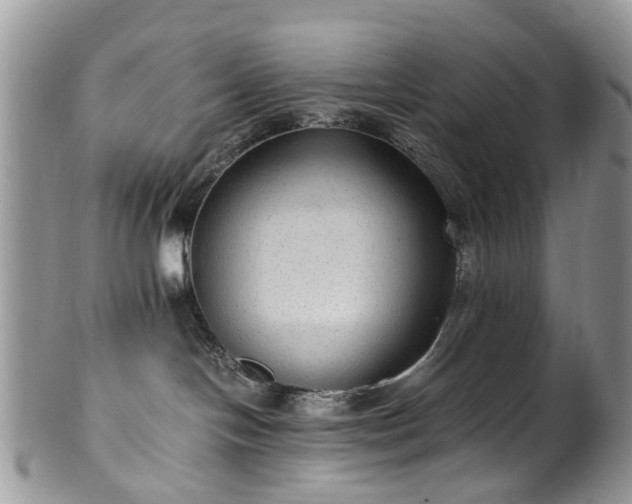 X0000100420094200806131108