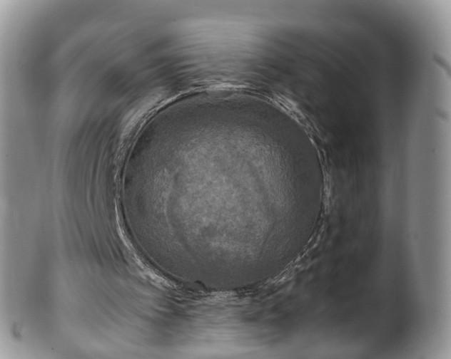 X0000100420097200806131107
