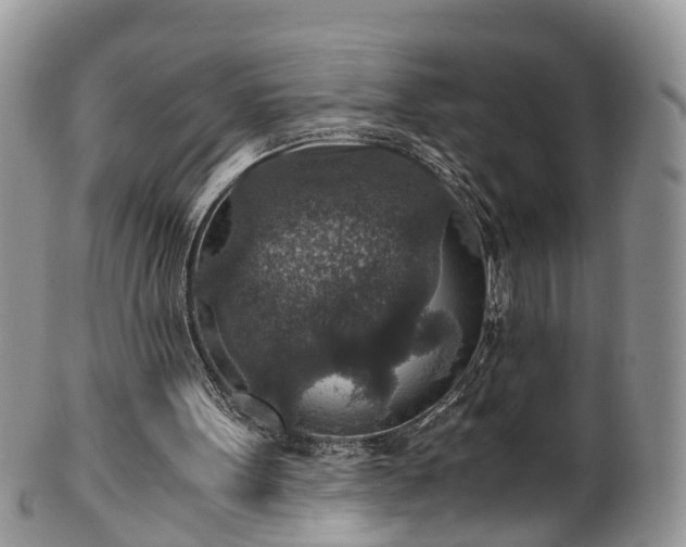 X0000100420099200806131107
