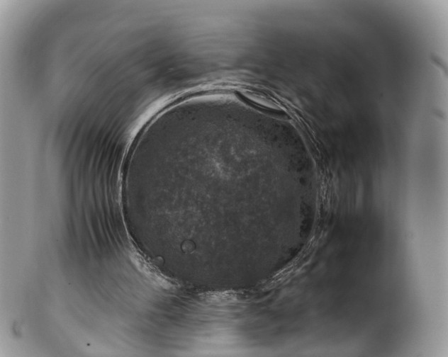 X0000100420100200806131107