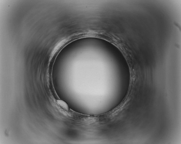 X0000100420102200806131107
