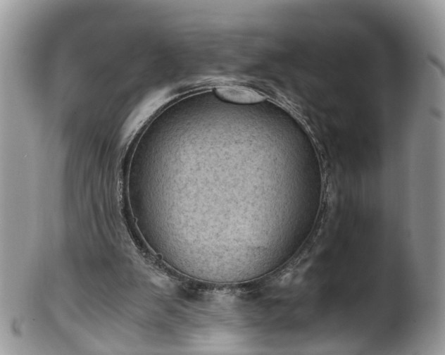 X0000100420103200806131107