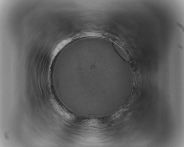 X0000100420104200806131107