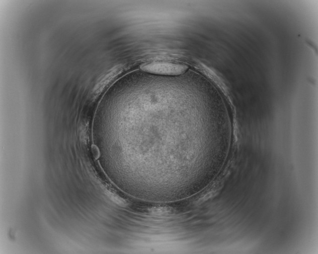 X0000100420105200806131107
