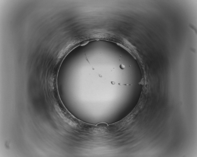 X0000100420106200806131107