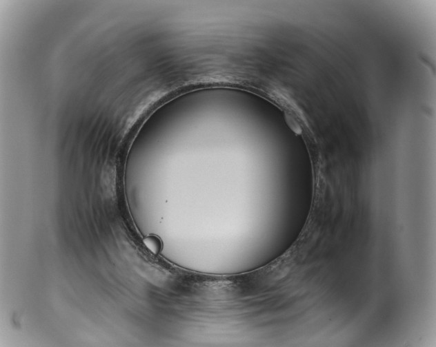 X0000100420108200806131107