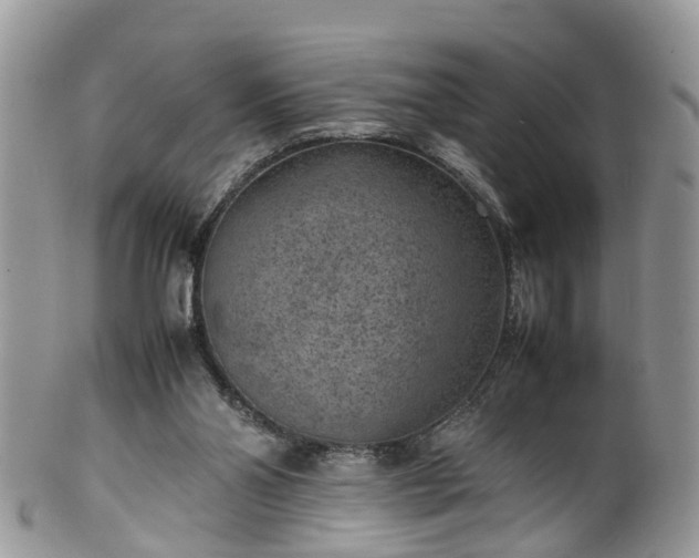 X0000100420110200806131107