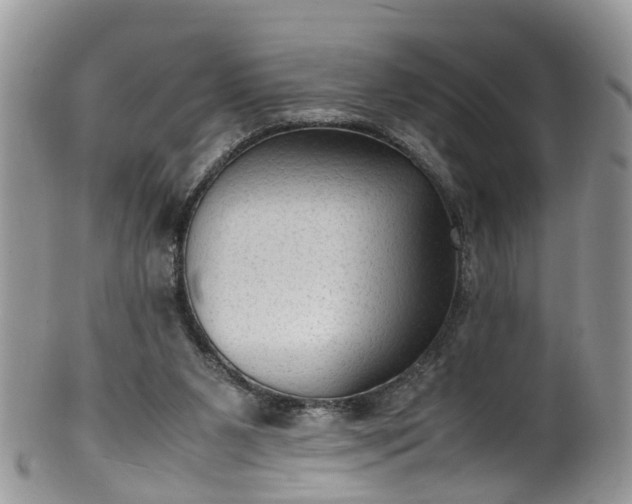 X0000100420111200806131107