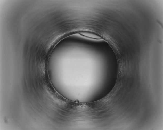 X0000100420112200806131107