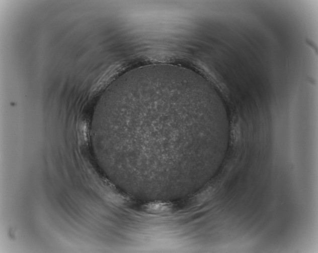 X0000100420117200806131107