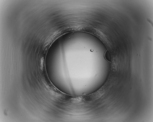 X0000100420118200806131107