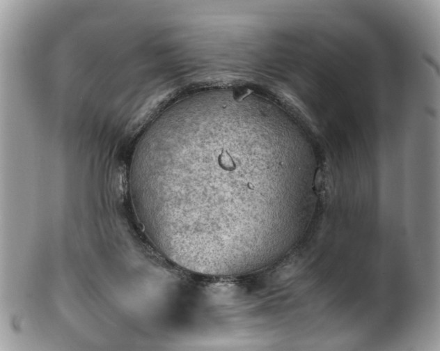 X0000100420119200806131107
