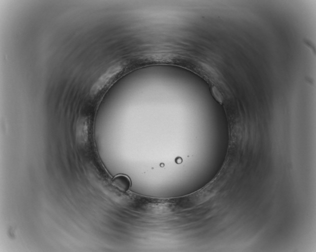 X0000100420120200806131107