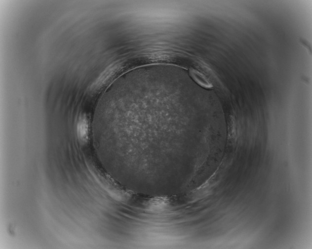 X0000100420124200806131107