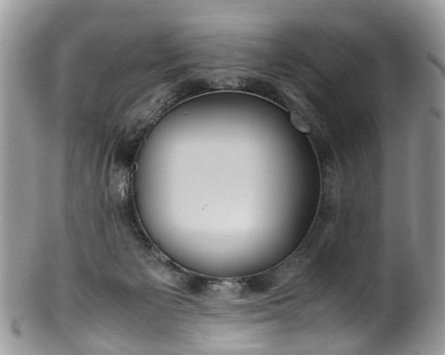 X0000100420125200806131107