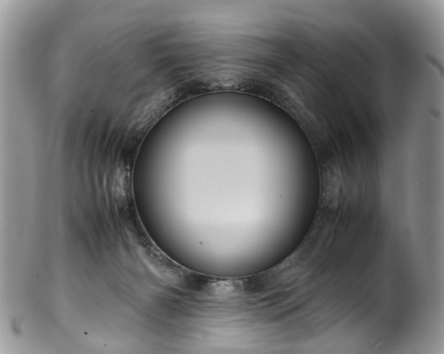 X0000100420126200806131107