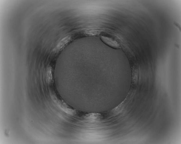 X0000100420128200806131107