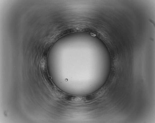 X0000100420129200806131107
