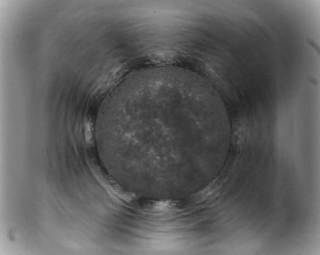 X0000100420130200806131107