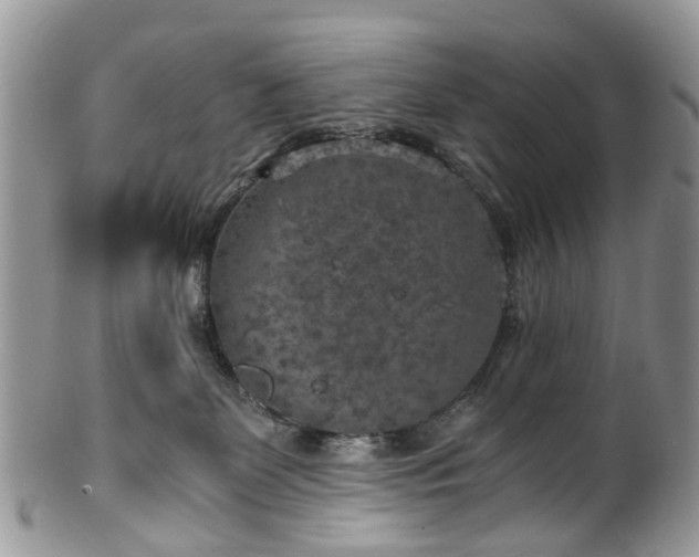 X0000100420131200806131107