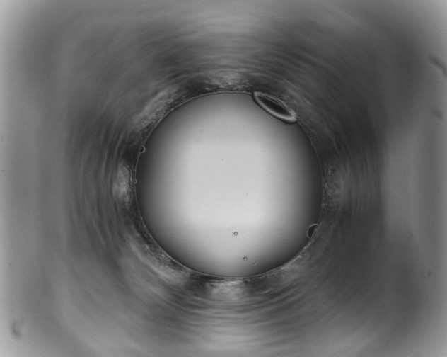 X0000100420132200806131107