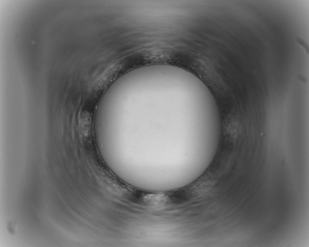 X0000100420133200806131107