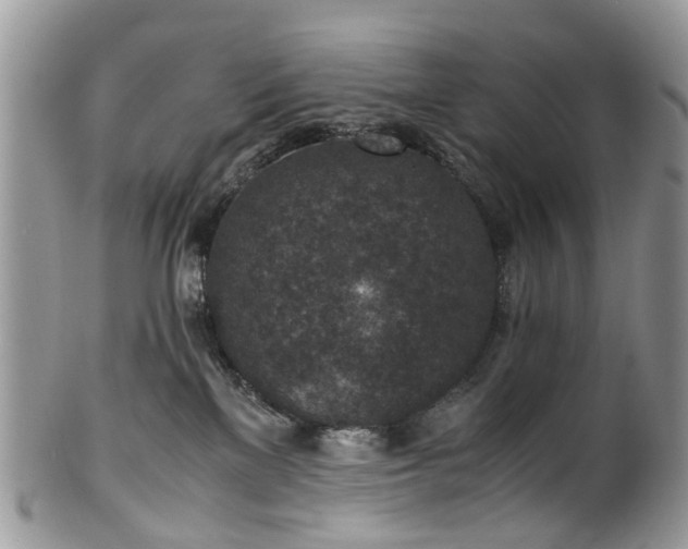 X0000100420137200806131107