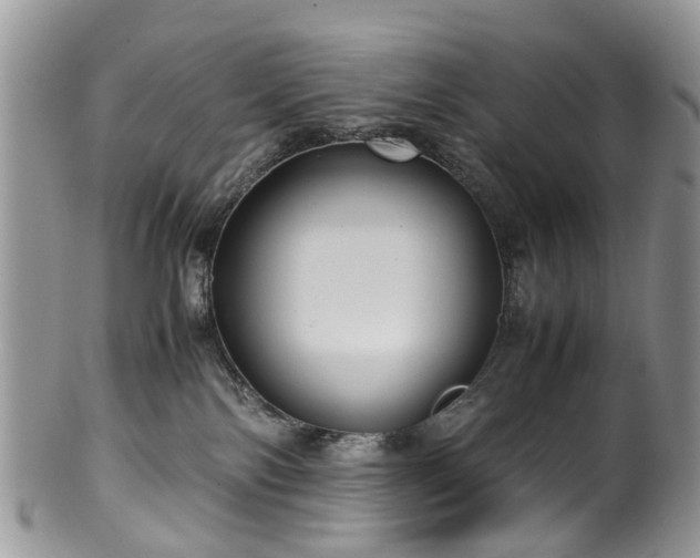 X0000100420138200806131107