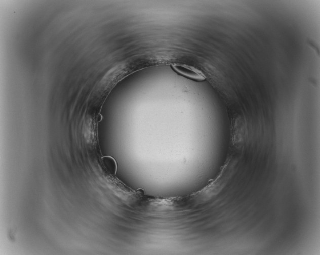 X0000100420140200806131107