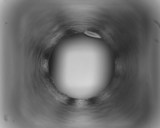 X0000100420141200806131107