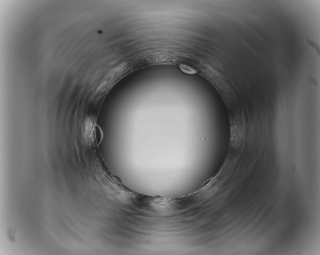 X0000100420142200806131107