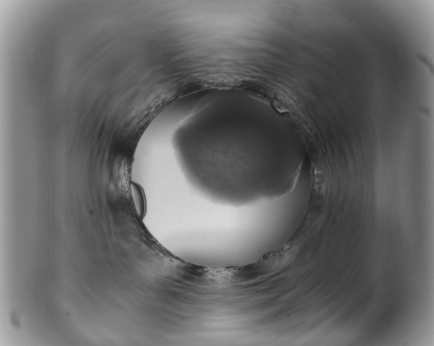X0000100420143200806131107