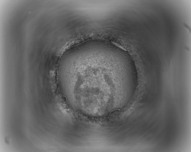 X0000100420144200806131107