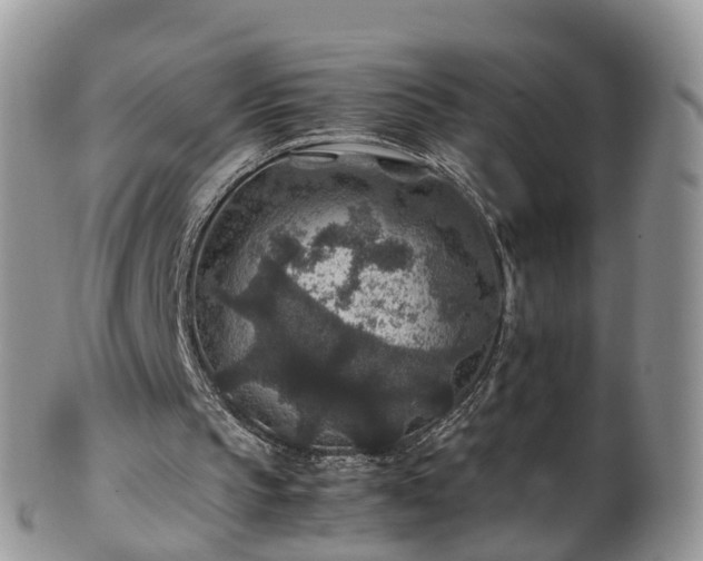 X0000100420145200806131106