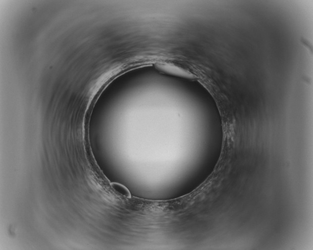 X0000100420148200806131106