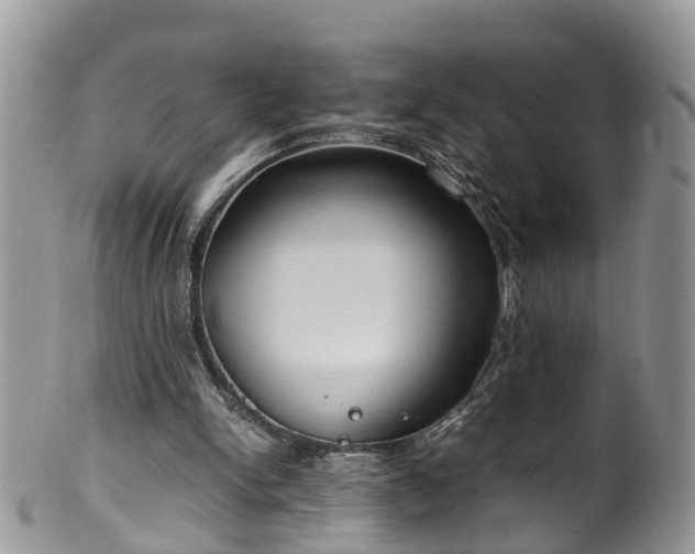 X0000100420150200806131106