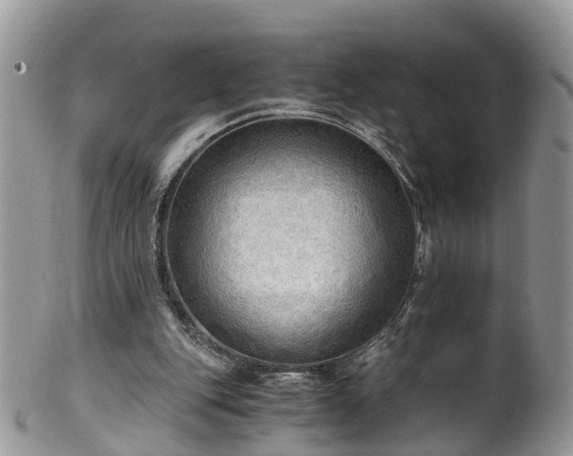 X0000100420151200806131106
