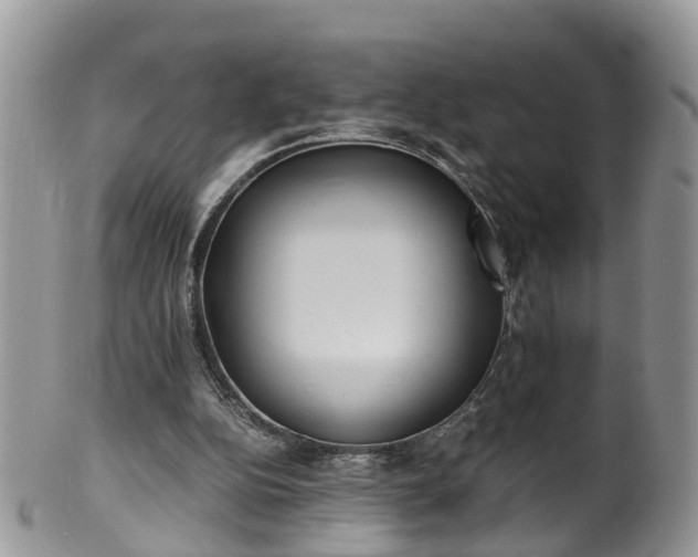 X0000100420152200806131106