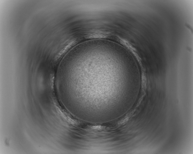X0000100420153200806131106